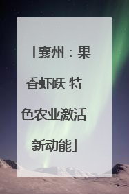 襄州：果香虾跃 特色农业激活新动能