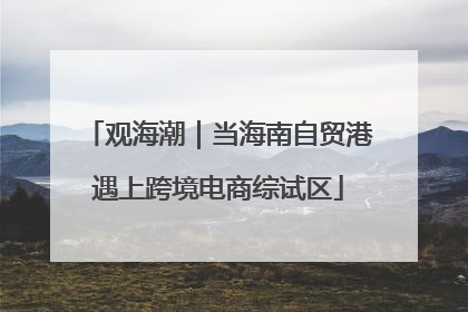 观海潮｜当海南自贸港遇上跨境电商综试区