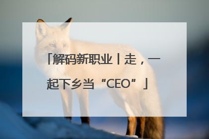 解码新职业丨走，一起下乡当“CEO”