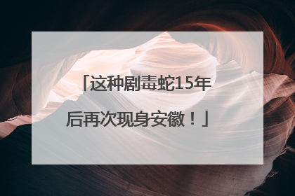 这种剧毒蛇15年后再次现身安徽！