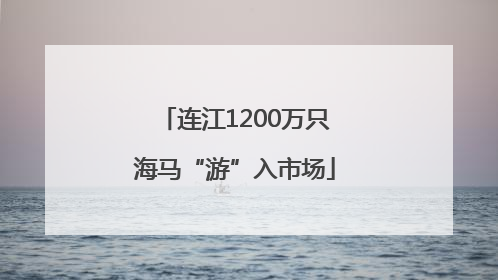 连江1200万只海马“游”入市场