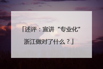 述评：宣讲“专业化” 浙江做对了什么？