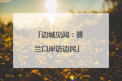 边城见闻：普兰口岸访边民