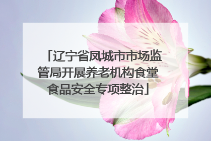 辽宁省凤城市市场监管局开展养老机构食堂食品安全专项整治