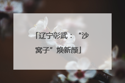辽宁彰武：“沙窝子”焕新颜