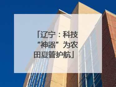 辽宁：科技“神器”为农田夏管护航