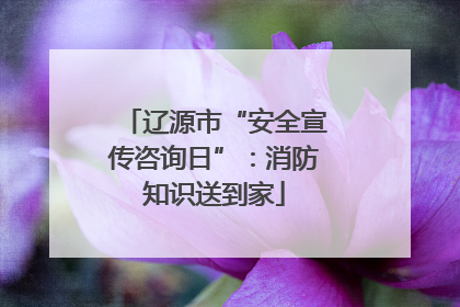 辽源市“安全宣传咨询日”：消防知识送到家