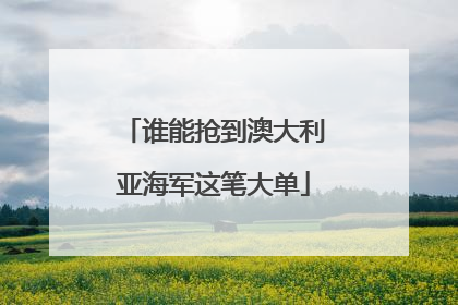 谁能抢到澳大利亚海军这笔大单