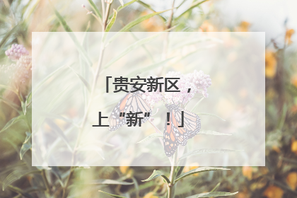 贵安新区，上“新”！