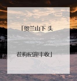 贺兰山下 头茬枸杞迎丰收