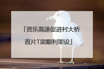 资乐高速促进村大桥首片T梁顺利架设