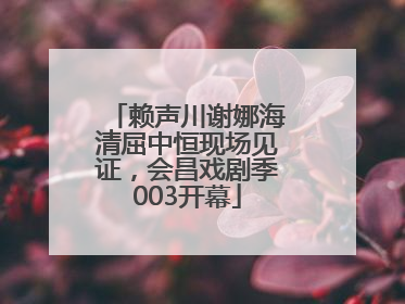 赖声川谢娜海清屈中恒现场见证，会昌戏剧季003开幕