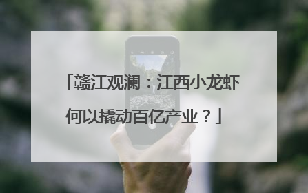 赣江观澜：江西小龙虾何以撬动百亿产业？