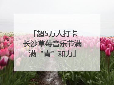 超5万人打卡 长沙草莓音乐节满满“青”和力