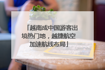 越南成中国游客出境热门地，越捷航空加速航线布局