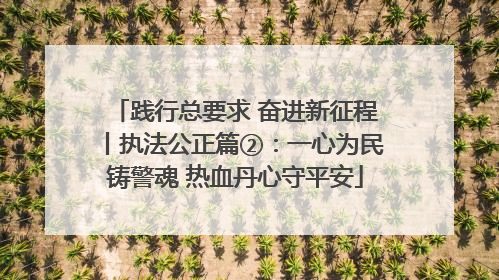 践行总要求 奋进新征程丨执法公正篇②：一心为民铸警魂 热血丹心守平安