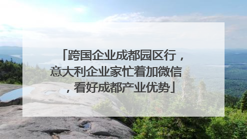 跨国企业成都园区行，意大利企业家忙着加微信，看好成都产业优势