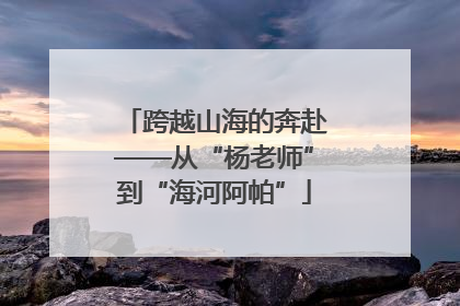 跨越山海的奔赴——从“杨老师”到“海河阿帕”