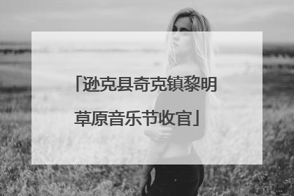 逊克县奇克镇黎明草原音乐节收官