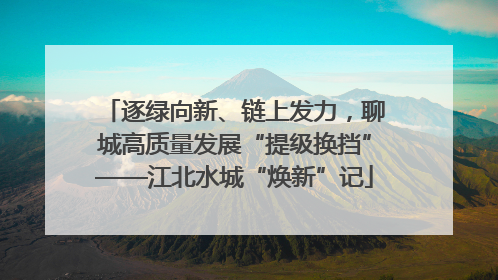逐绿向新、链上发力，聊城高质量发展“提级换挡”——江北水城“焕新”记