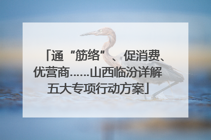 通“筋络”、促消费、优营商……山西临汾详解五大专项行动方案