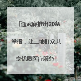 通武廊推出20条举措，让三地群众共享优质医疗服务