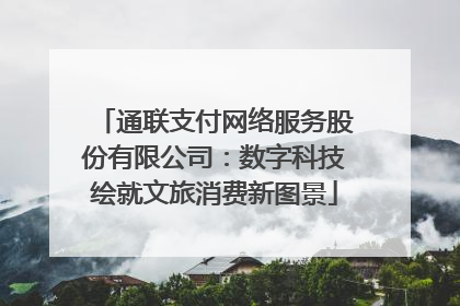 通联支付网络服务股份有限公司：数字科技绘就文旅消费新图景