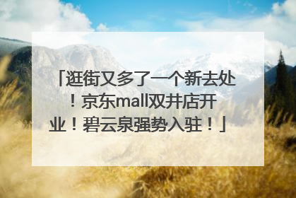逛街又多了一个新去处！京东mall双井店开业！碧云泉强势入驻！