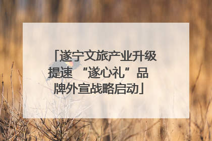 遂宁文旅产业升级提速 “遂心礼”品牌外宣战略启动