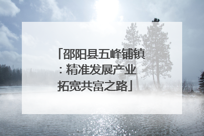 邵阳县五峰铺镇：精准发展产业 拓宽共富之路