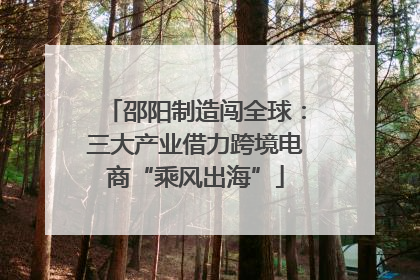 邵阳制造闯全球：三大产业借力跨境电商“乘风出海”