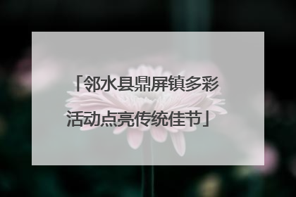 邻水县鼎屏镇多彩活动点亮传统佳节