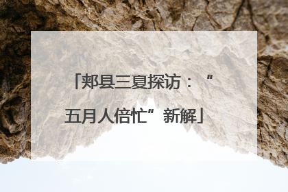 郏县三夏探访：“五月人倍忙”新解