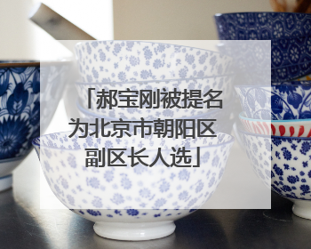 郝宝刚被提名为北京市朝阳区副区长人选