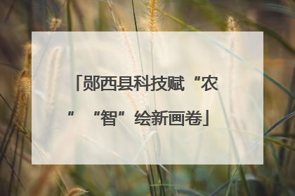郧西县科技赋“农”“智”绘新画卷