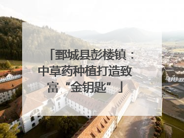 鄄城县彭楼镇：中草药种植打造致富“金钥匙”