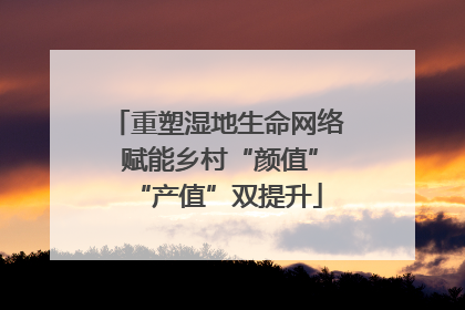 重塑湿地生命网络 赋能乡村“颜值”“产值”双提升