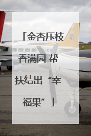 金杏压枝香满园 帮扶结出“幸福果”