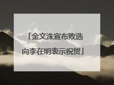 金文洙宣布败选 向李在明表示祝贺