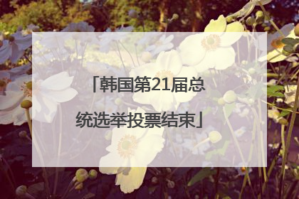 韩国第21届总统选举投票结束