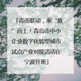 青甬联动，乘“数”而上！青岛市中小企业数字化转型城市试点产业对接活动在宁波开班