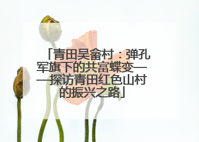 青田吴畲村：弹孔军旗下的共富蝶变——探访青田红色山村的振兴之路