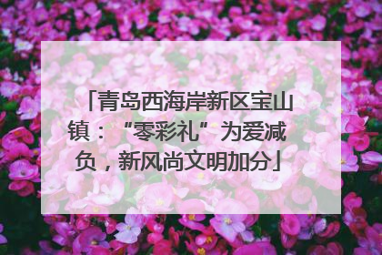 青岛西海岸新区宝山镇：“零彩礼”为爱减负，新风尚文明加分