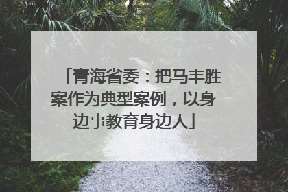 青海省委：把马丰胜案作为典型案例，以身边事教育身边人