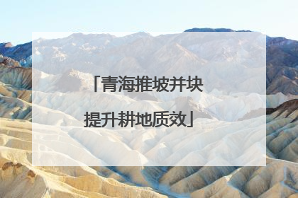 青海推坡并块提升耕地质效