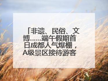 非遗、民俗、文博……端午假期首日成都人气爆棚，A级景区接待游客超113万人次