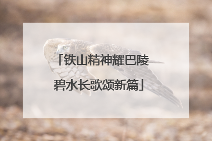 铁山精神耀巴陵 碧水长歌颂新篇