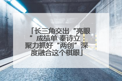 长三角交出“亮眼”成绩单 秦诗立：聚力抓好“两创”深度融合这个棋眼