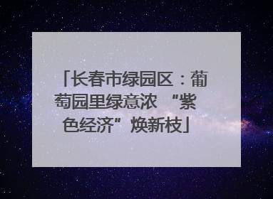 长春市绿园区：葡萄园里绿意浓 “紫色经济”焕新枝