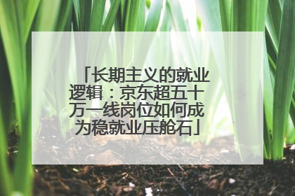 长期主义的就业逻辑：京东超五十万一线岗位如何成为稳就业压舱石